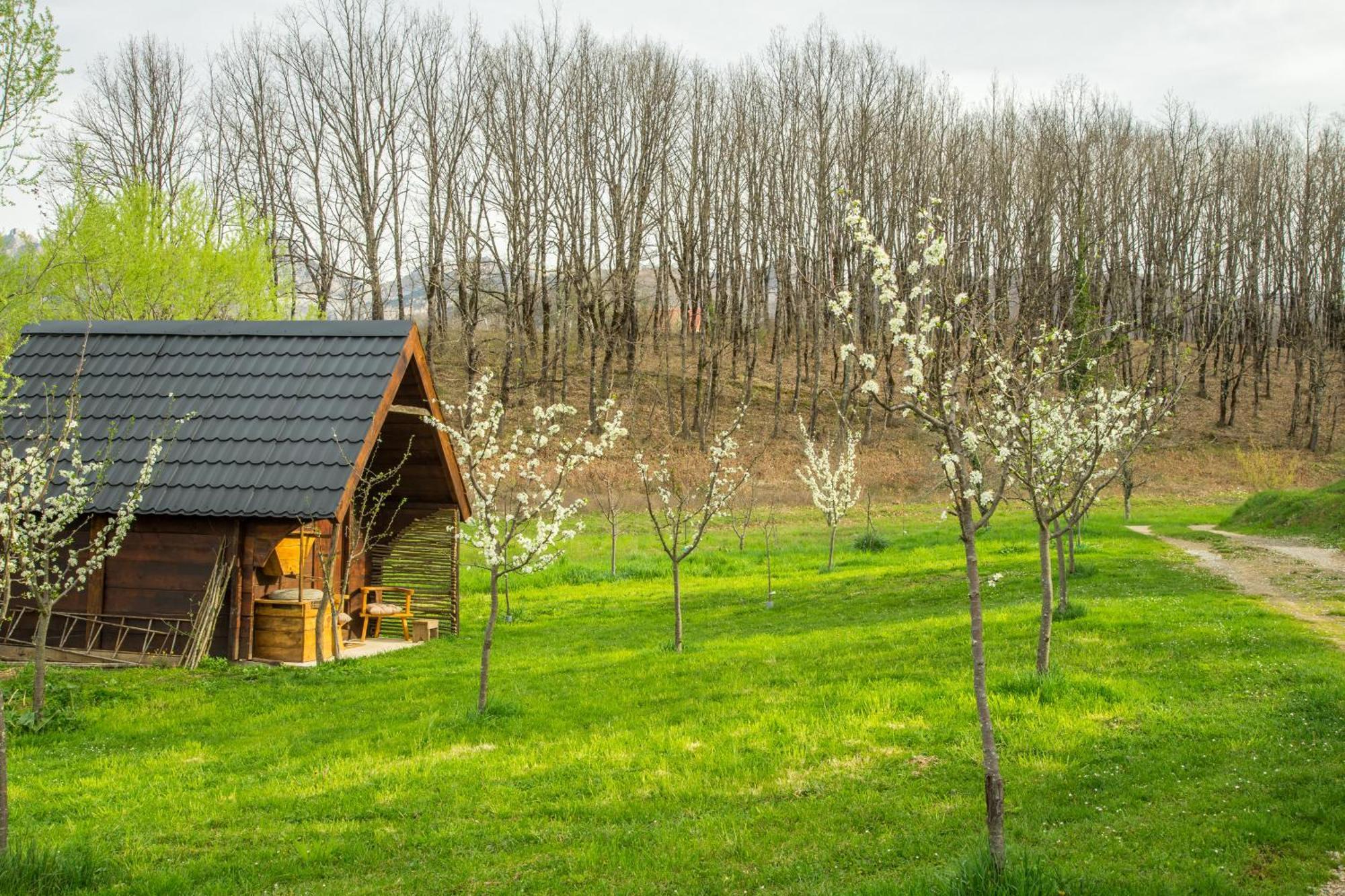 Djurdjevina Family Farm Villa Kolašin Exterior foto